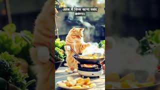 दोस्तों, आज हमारी बिल्ली चिप्स बनाएगी। #shortsfeed #shortfeed #shorts #funnycats #funnyshorts #funny