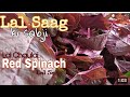 Laal Saag Ki Sabzi - लाल साग की सब्जी - Red Spinach Recipe - Healthy Recipe