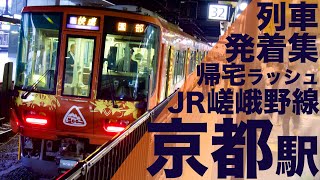 【223系森の京都ラッピング降臨！号車によって混雑度が違いすぎる！】JR西日本 嵯峨野線 京都駅 帰宅・夕ラッシュ 列車発着集