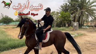 # فلوق (86) خطوات سرعة الاستجابه في الاتجاهات للكر والفر✅🐎