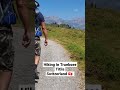 Hiking in Truebsee Titlis Switzerland 🇨🇭 #travel #family #viral #switzerland #shorts