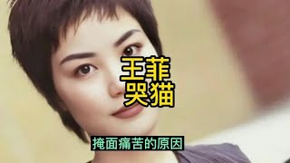 王菲深夜街头痛哭，原来霆锋带一窝猫撤回香港，容易受伤的女人。 1