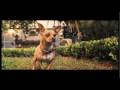 Beverly Hills Chihuahua Full Trailer