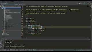 79- Python File Detection