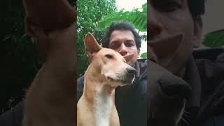 5155 #short #viral #youtube #trending #video #mili #khadanga #2m #lovely collection ♥️💕🐕