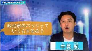 議員バッジの値段/消費税10%の余波 | 山口県 防府市議会議員 牛見航