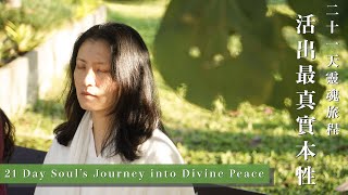 21天神聖之旅~靈魂回家了| 21 Divine Days to the Soul's Homecoming - Meditation Retreat with Avalon