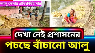 সরকারি প্রতিশ্রুতিই সার, জলে ডোবা বাঁচানো আলু কিনতে দেখা নেই প্রশাসনের, হতাশ চাষিরা