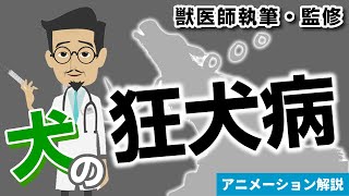 犬の狂犬病について【獣医師執筆監修】ウィズペティ