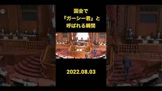 国会でガーシー君と呼ばれる瞬間＃shorts #国会