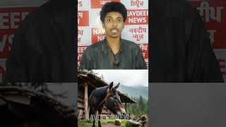 Donkey meat served instead of chicken at a wedding! || Navdeep News ||