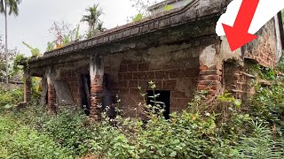 Explore the House with Strange Architecture: Unbelievable Architectural Mystery | Cut down, clean up