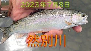 北海道然別川　2023年7月8日