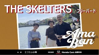 第17回 V-airあまばんグランプリ大会 エントリーNo.2　THE SKELTERS ｢フリーバード｣