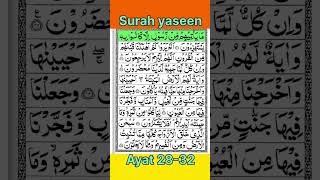 Surah Yasin (Yaseen) Ayat 28-32 🤲❤️ #shorts #trending #quran #viral