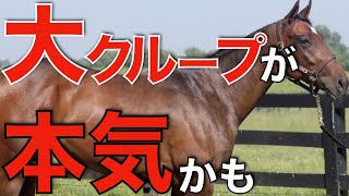 世界のユーロングループが日本競馬に本気参戦？まさかの逆輸入馬が来日。