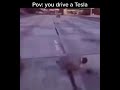 Tesla Autopilot be like