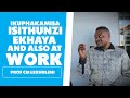 Ukuphakamisa Isithunzi Ekhaya and At Work - Prof CM Lekhuleni