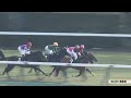 【レース映像】中山9r 東雲賞｜ユキノロイヤル（石橋脩）｜ウイニング競馬