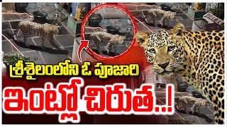 🔴LIVE :శ్రీశైలంలోని ఓ పూజారి ఇంట్లో చిరుత..Tiger Spotted In Priest House | Srisailam #sumantvkurnool