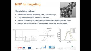 Surface functionalization of magnetic nanoparticles for magnetically driven passage through eye ti