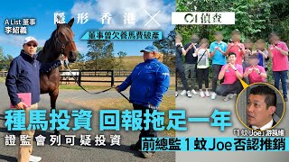 【隱形香港】種馬計劃遭證監會列可疑投資涉款千萬　一蚊Joe游莨維曾任總監疑推銷｜Master Joe｜01新聞｜01偵查｜養馬｜牧馬｜種馬｜投資｜牧場計劃｜證監會