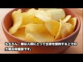 【食品の闇】ポテトチップスがやばい！食べ過ぎると良くないその理由とは？【衝撃】