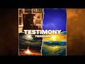 Terrian - Testimony - Instrumental Cover with Lyrics