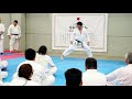 extracto gasshuku jka chile 2018 kunio kobayashi 日本空手協会