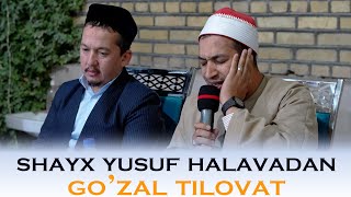 МИСРЛИК ҚОРИДАН ГЎЗАЛ ТИЛОВАТ | SHAYX YUSUF HALAVA