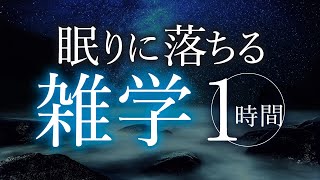 【朗読】眠りに落ちる雑学1時間【睡眠導入】【合成音声】