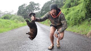 Turning ROADKILL into a 5-STAR MEAL (With roadside herbs)