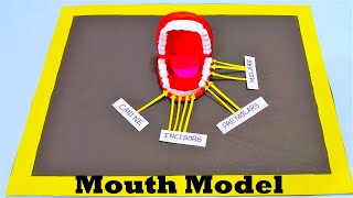 mouth - teeth model 3d project | diy at home | biology project | craftpiller