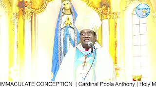 Reflection | Cardinal Poola Anthony | IMMACULATE CONCEPTION  | 8-12-22