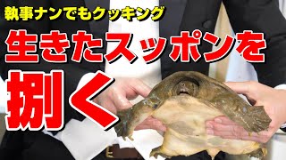 【閲覧注意】生きた巨大スッポンの捌き方を執事が解説！すっぽんの生き血やスッポン鍋の作り方まで無修正で公開