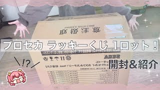 【プロセカ】ラッキーくじ1ロット買ったから開ける！！！