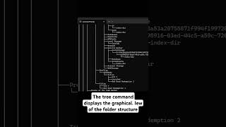 How to display a graphical view of the folder structure using command prompt #coding #howto #tech