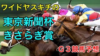 ワイドヤスキチの東京新聞杯.きさらぎ賞2023Ｇ３競馬予想