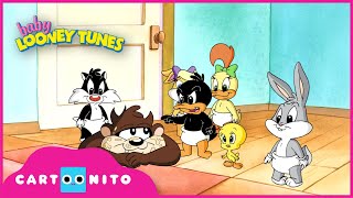 Baby Looney Tunes | All Washed Up  | Cartoonito
