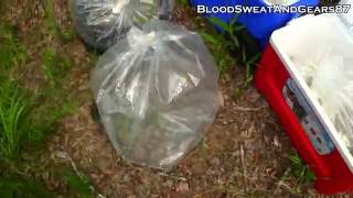 Stocking a Pond (with Blue Tilapia & Sterile Grass Carp)