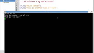 Lua Tutorial 1: Print Basic Input