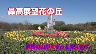 鼻高展望花の丘です、群馬の山々が眺められます。