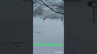 Beautiful#snow fall video#in USA#USA#shorts#please subscribe