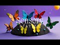 528hz Sleepy Time Music for 60min: Soothing Baby Sensory Experience