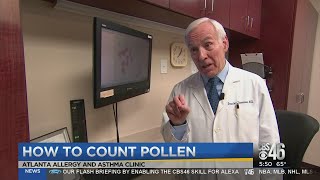 What Does the Pollen Count Really Mean?
