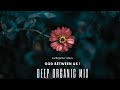 summer tropical music mix deep organic house relaxing music from lost u0026found the purr balance