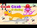 Cicak Cicak Di Dinding || Lagu Anak Indonesia || Cicak dan Ayam Kecil