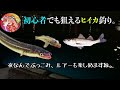 【集中講座】ヒイカ釣り歴30年の師匠に聞く基本と攻略法 【スッテ・エサ】