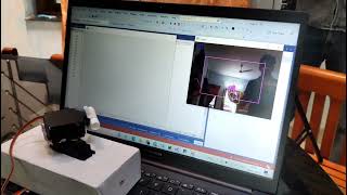 Ai controlled(hand controlled) laser turret
