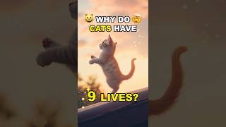 Do Cats Really Have 9 Lives? The Truth Behind the Myth!